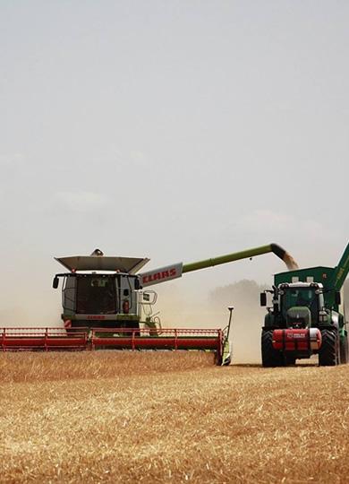 Navegue pela Categoria de CIDADES